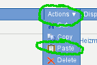 ActionsPaste.png